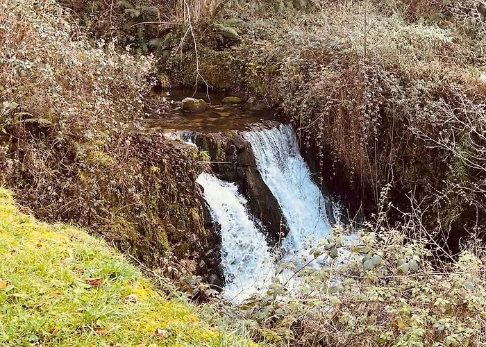 Le Refuge Du Cagire *