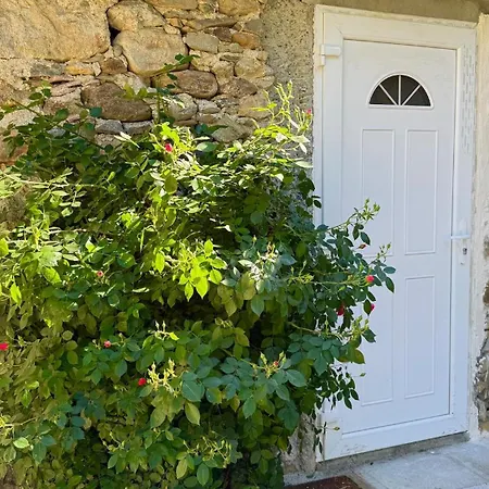 Le Refuge Du Cagire בית נופש Aspet